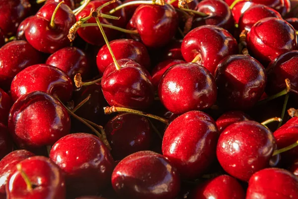 Çarşıda lezzetli, sulu, olgun kırmızı kirazlar.