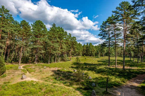 Ormanda gizemli bir yer, Bory Tucholskie, Polonya