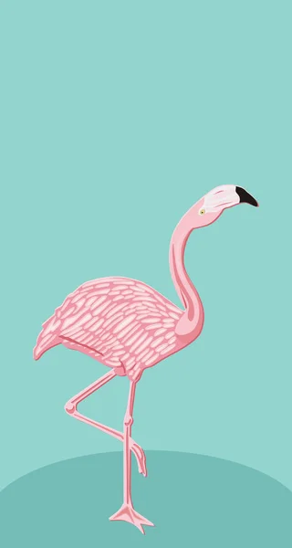 Flamant Rose Sur Fond Bleu — Image vectorielle