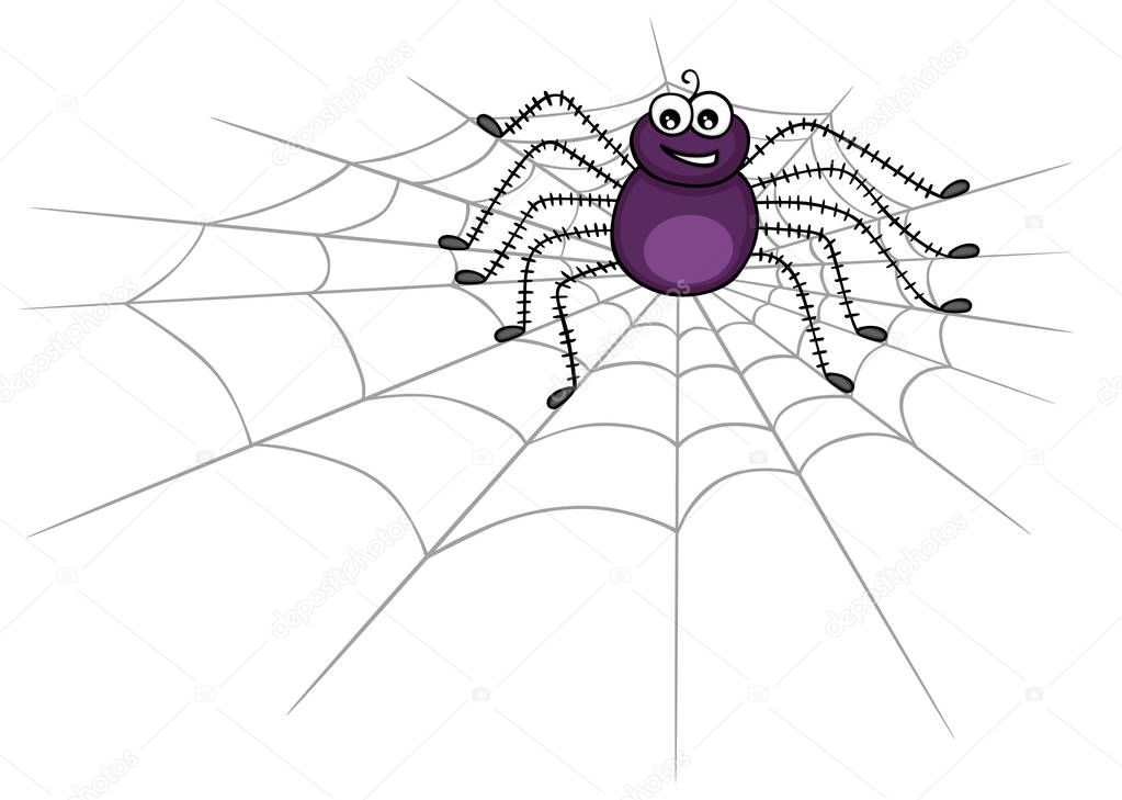 Cute spider on web