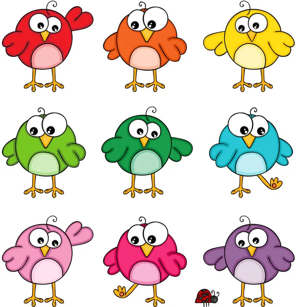 Set Colorati Simpatici Uccelli Divertenti — Vettoriale Stock