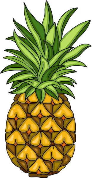 Vectorial Escalable Que Representa Fruto Piña Verano Elemento Diseño Ilustración — Vector de stock