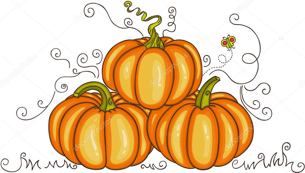 Scalable vectorial representing a orange autumn pumpkins, element for design, illustration isolated on white background.