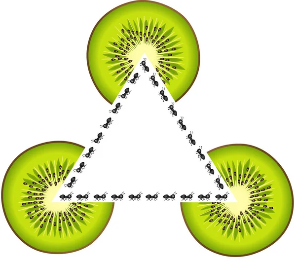 Uppsättning Myror Och Kiwi Skivor Formen Triangel Ram — Stock vektor