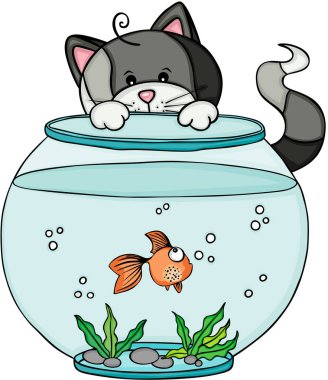 Kedi görünümlü akvaryum balık ile