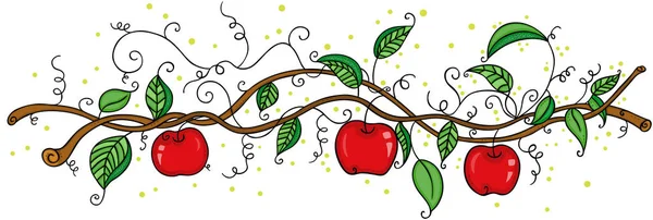 Apple Orchard Fruit Picking Branch — Stock Vector