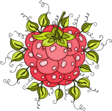 yeşil yaprakları ile Kırmızı Ahududu