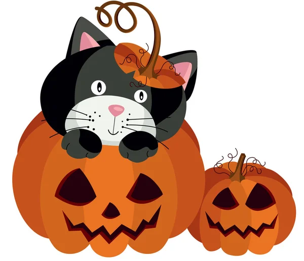 Cadılar Bayramı Balkabağının Içindeki Kara Kedi — Stok Vektör