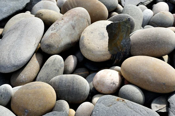 Wet Pebbles Stones Seaside — Stock Photo, Image