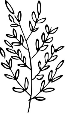 Zarif Siyah ve Beyaz Botanik Çizimi