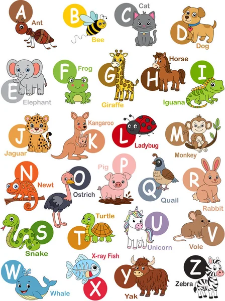 Çocuk Eğitimi için Renkli Hayvan Alfabesi