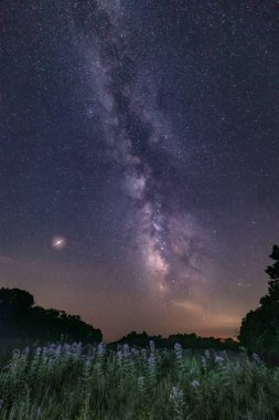 Yaz ortası gökyüzünün altında kır çiçekleri açar, Samanyolu ile süslenir ve Mars gezegeni ile noktalanır, Indiana 'nın Brown County Eyalet Parkı' nda..