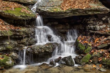 Sonbahar yaprakları her yerde ile yosunlu kayalar aşağı küçük bir şelale basamaklandırır.