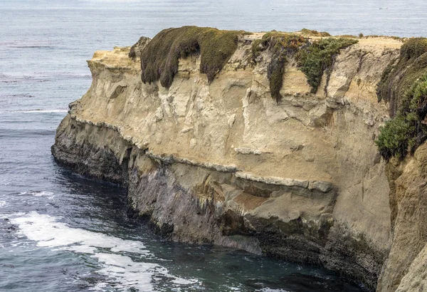 Waves Roll Flowers Grow Sides Colorful Cliffs Santa Cruz California — Stock Photo, Image