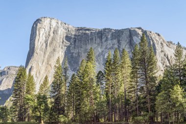 İkonik rock monolith, El Capitan, vadi tabanından Yosemite Milli Parkı, Kaliforniya'da kuleleri.