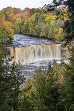 Tarafından su tanenler lekeli, üst Tahquamenon Falls sonbahar yaprakları değişen ortasında almıştı..