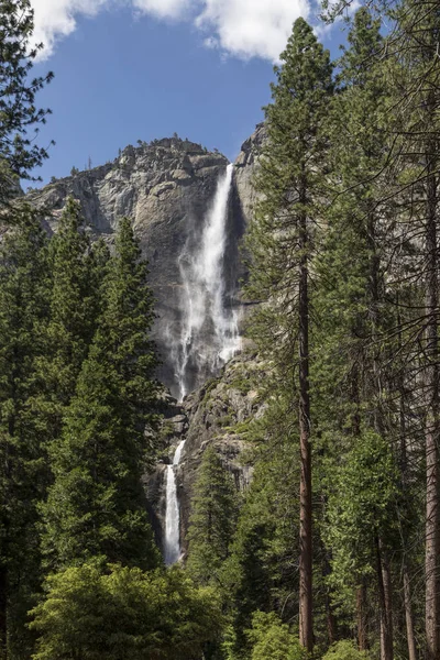 Yosemite Falls One America Tallest Waterfalls Plunges Valley Yosemite National — Stock Photo, Image