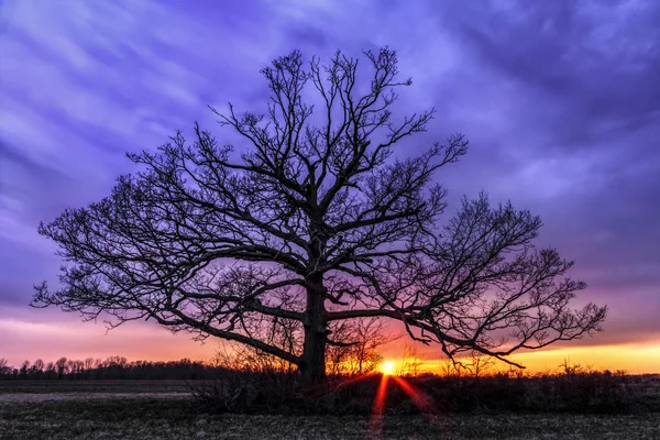 Silueta de puesta de sol — Foto de Stock