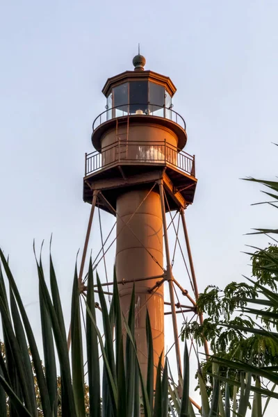 Sanibel ljus genom Palms — Stockfoto