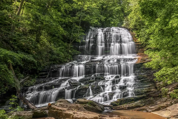 Pearson-féle Falls — Stock Fotó