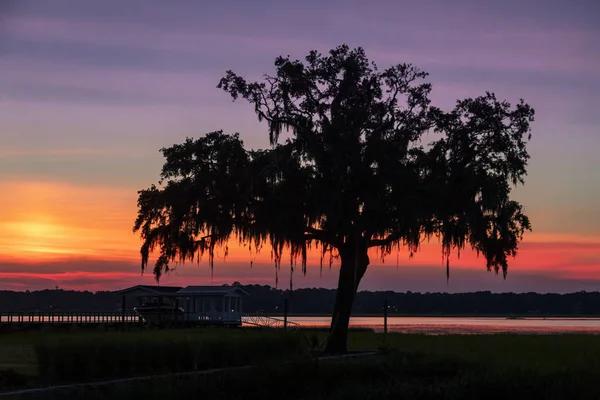 Low Country Dawn — Stock Photo, Image