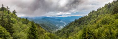 Kuzey Carolina ve Tennessee sınırı yakınlarındaki Great Smoky Dağları Ulusal Parkı 'ndaki Appalachian Sıradağları' nın mavi sırtlarında sabah bulutları dolaşıyor..