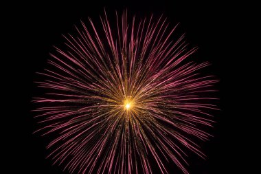 Çok büyük ve renkli bir havai fişek, 4 Temmuz 'da özgürlük kutlamalarında gökyüzünde patladı..