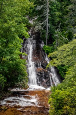 Brevard, Kuzey Carilina yakınlarındaki bir şelale olan Batson Creek Şelalesi Carson Creek Falls ile birleşerek Connestee Falls 'u oluşturur..