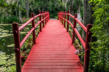 A beautiful red foot bridge crosses a pond in an idyllic plantation landscape near Charleston, South Carolina. clipart