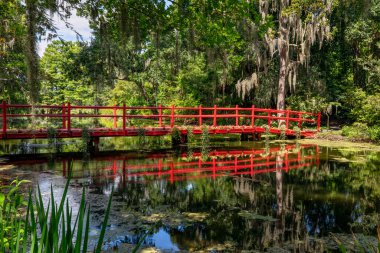 Yansıması olan güzel bir kırmızı ayak köprüsü Charleston, Güney Carolina yakınlarındaki bir çiftlikte bir göleti geçiyor..