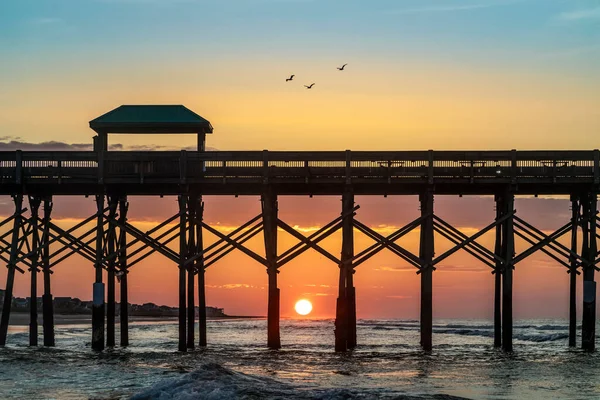 Folly Beach Móló Feletti Pelikán Triót Egy Gyönyörű Napfelkelte Árnyékolja — Stock Fotó