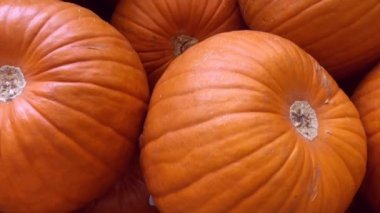 Kabak yama video görüntüleri