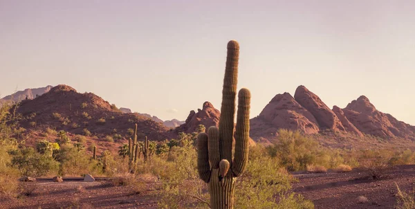 Arizona Papago Park Chegando Camelback Mountain Phoenix Scottsdale Arizona Area — Fotografia de Stock