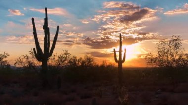 Scottsdale Arizona çöl günbatımı 