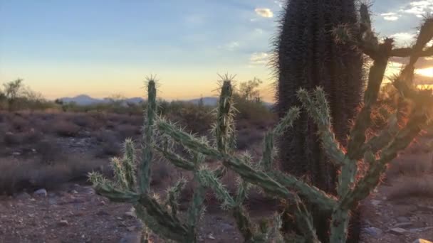 スコッツデール アリゾナ州の砂漠のサンセット — ストック動画