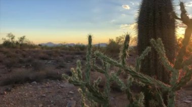 Scottsdale Arizona çöl günbatımı 