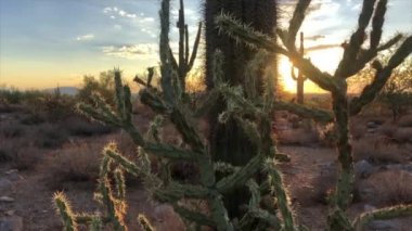 Scottsdale Arizona çöl günbatımı 