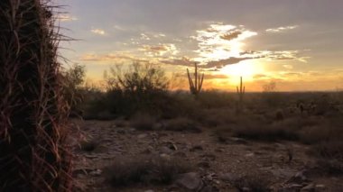 Scottsdale Arizona çöl günbatımı 