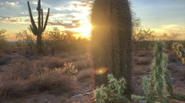 Scottsdale Arizona çöl günbatımı 