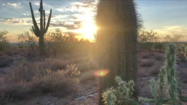 Scottsdale Arizona çöl günbatımı 