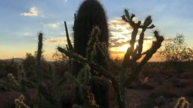 Scottsdale Arizona çöl günbatımı 