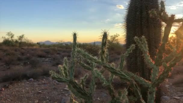 Scottsdale Arizona Woestijn Zonsondergang — Stockvideo