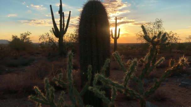 Scottsdale Arizona pouštní západ slunce 