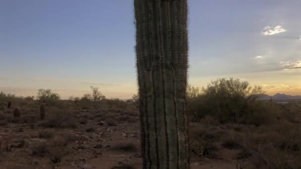 Έρημο Ηλιοβασίλεμα Της Αριζόνα Scottsdale — Αρχείο Βίντεο
