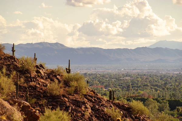 Vista Phoenix Tempe Desde Camelback Mountain Arizona Estados Unidos — Foto de Stock