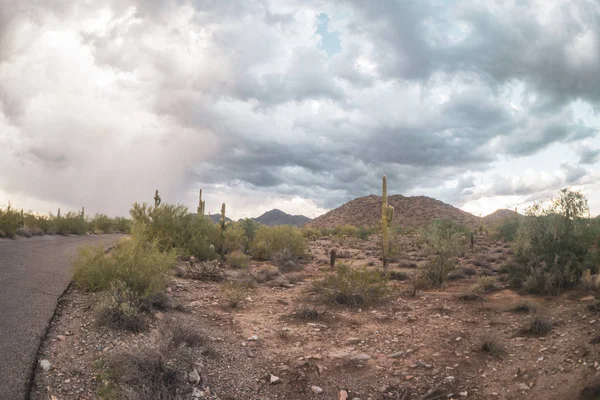 Stormy weather ahead for Arizona desert North Scottsdale.