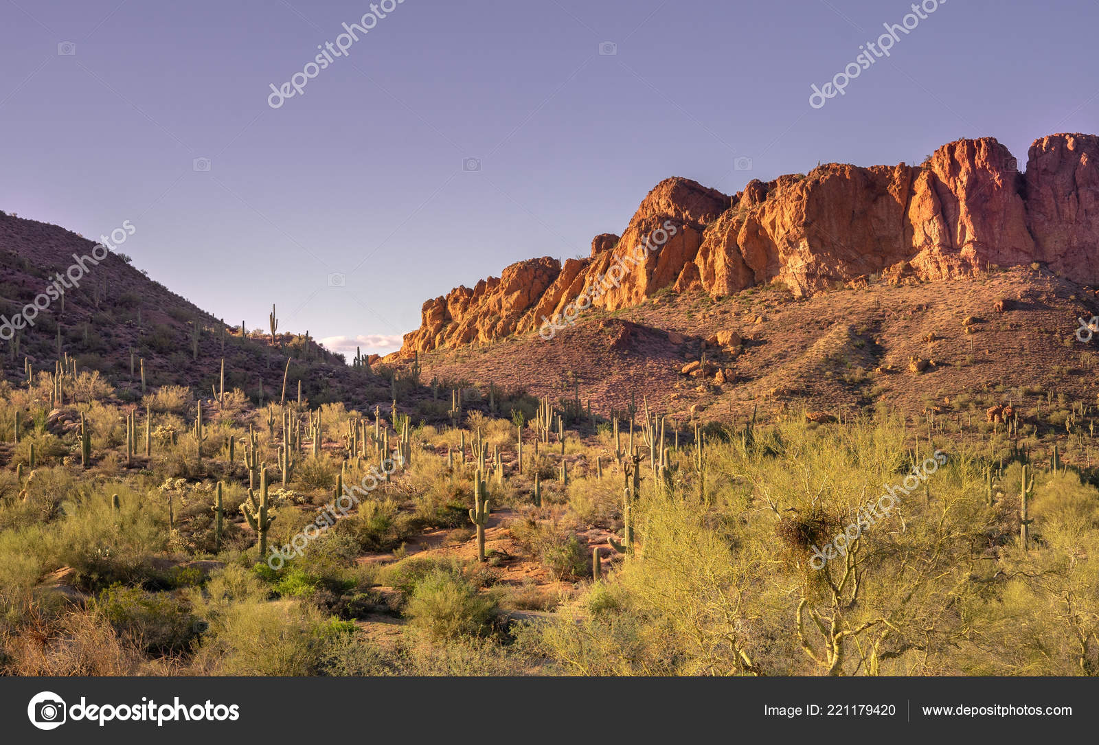 South West Usa Arizona Desert Landscape, Arizona Desert Landscape
