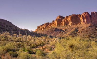 Güney Batı ABD, Arizona çölü manzara, batıl dağ Phoenix yakınındaki.