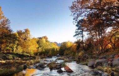 Verde River, Oak Creek Kanyon, Sedona, Arizona, ABD