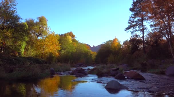 Oak Creek Kanyon Sedona Arizona Abd — Stok video